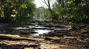 Lilongwe Sanctuary Lodge Spring